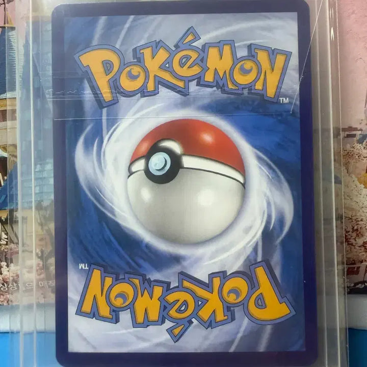 [BUNJANG] Pokemon Card Pikachu Holo Korean Edition / 포켓몬카드 피카츄 홀로 중판