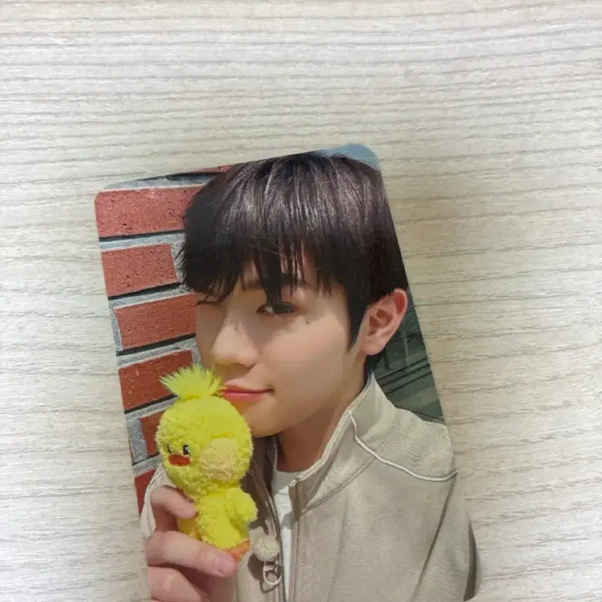 [BUNJANG] ZB1 Kim Taerae 1st Gen Photocard / 1기 태니니 제베원 앤더블 김태래 포카