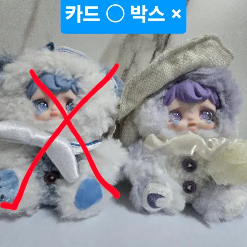 [BUNJANG] Yomy Summer Full Box / 요미 썸머