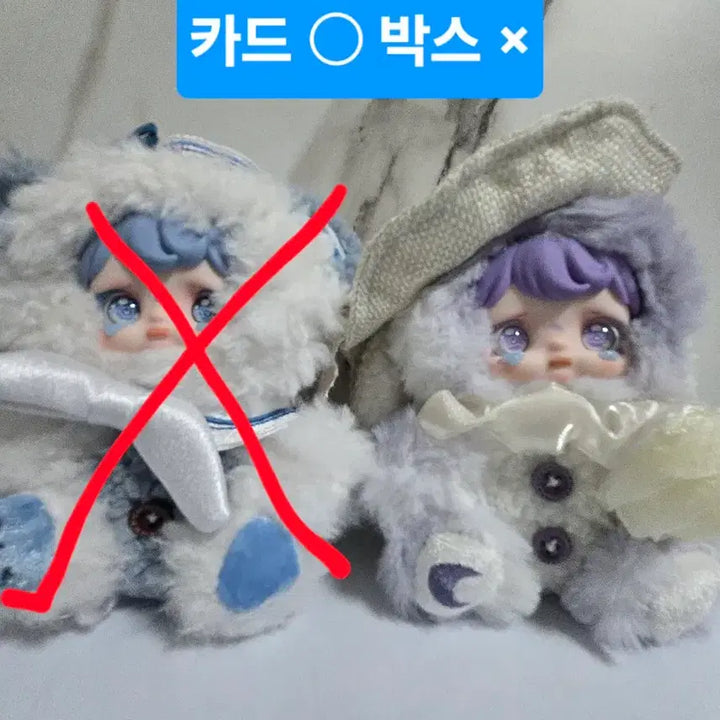 [BUNJANG] Yomy Summer Full Box / 요미 썸머