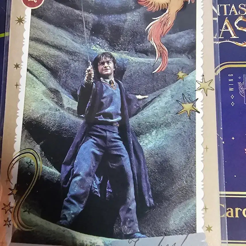 [BUNJANG] Harry Potter Famous Scene Card - Phoenix / 해리포터 카유 명장면 카드