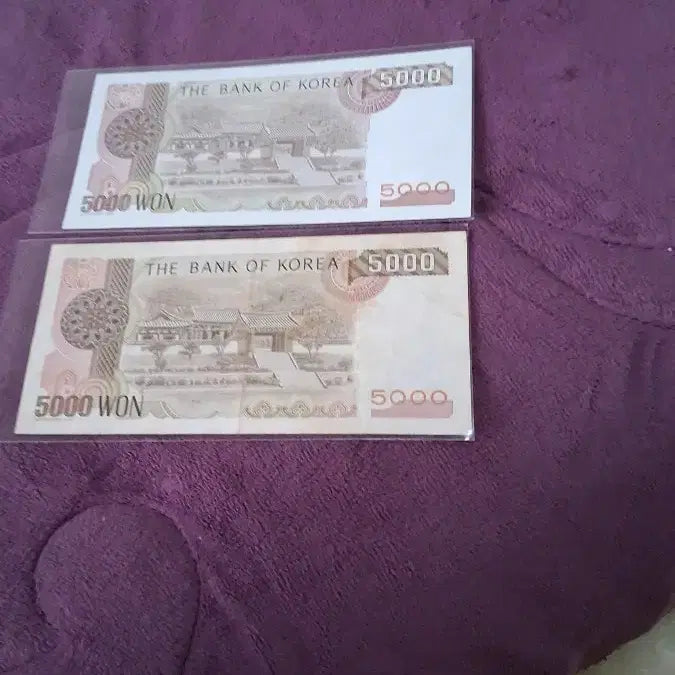 [BUNJANG] Bank of Korea 5,000 Won Banknotes (x2) / 한국은행 5000원권 2장