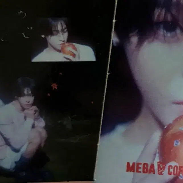 [BUNJANG] NCT WISH Riku Cup Holder / 엔티시 위시 nct wish 리쿠 컵홀더