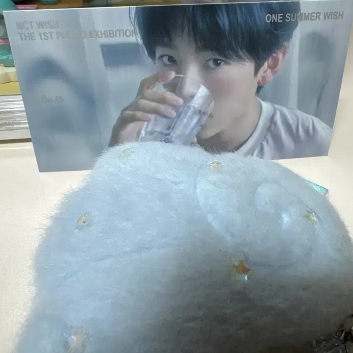[BUNJANG] NCT WISH Yushi Summer Exhibition Ticket &amp; Wings Keyring / NCT WISH 유우시 여름전시회 입장티켓 &amp; 날개키링