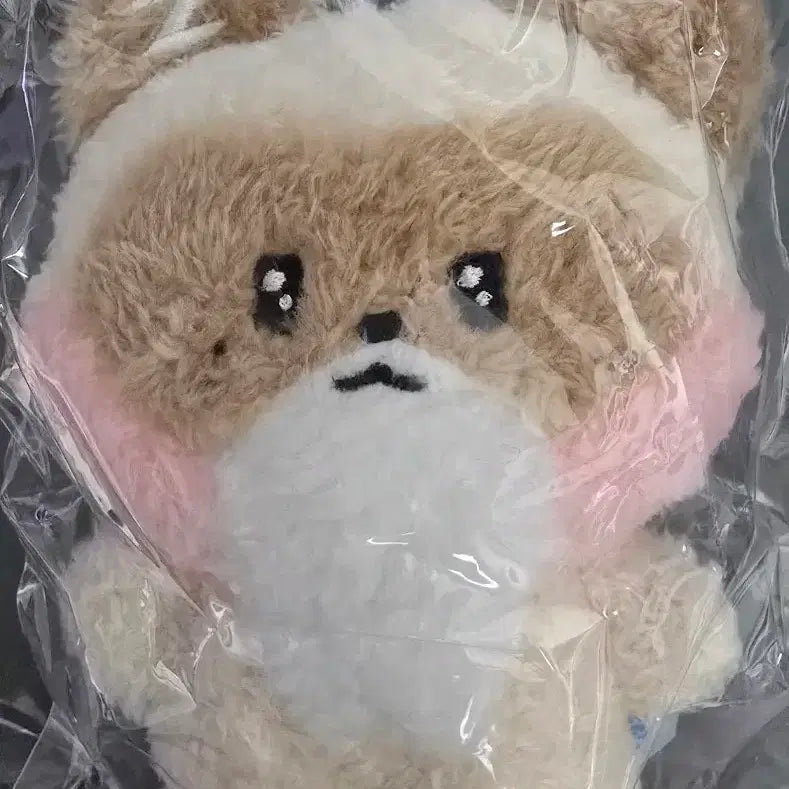 [BUNJANG] Hanini 1st Gen Keychain Version Zhang Hao / 정품 하니니 1기 키링ver. 새상품 장하오 hanini