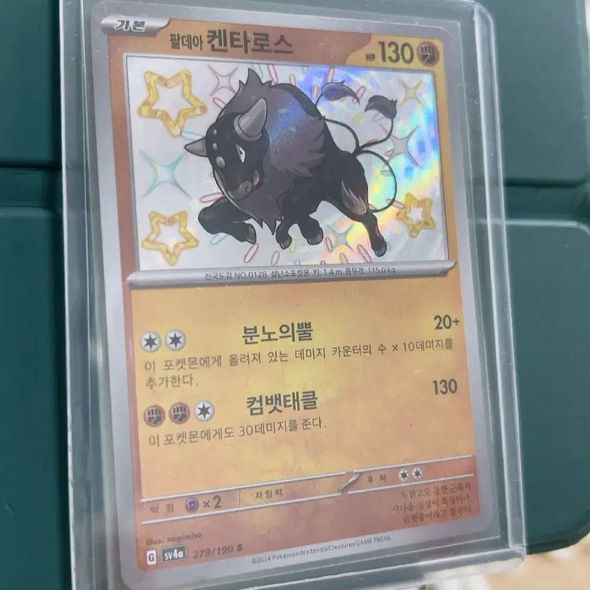 [BUNJANG] Pokemon Card Paldea Region Shiny Kentauros / 포켓몬카드 팔데아 켄타로스 이로치