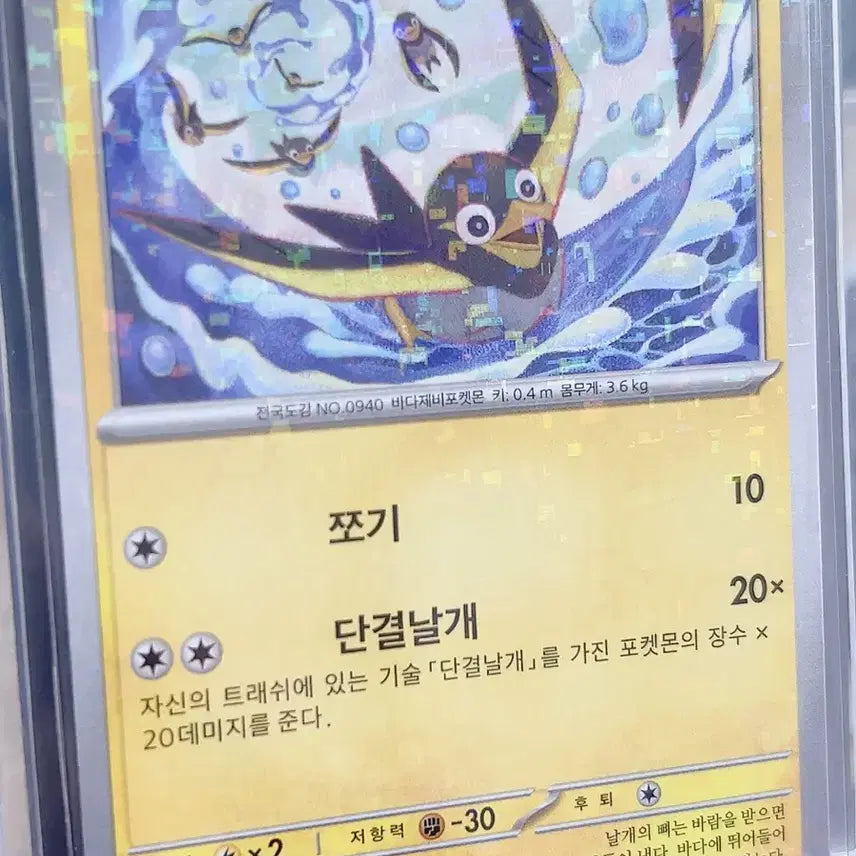 [BUNJANG] Pokemon Card Chiribee Hologram / 포켓몬 카드 찌리비 홀로그램