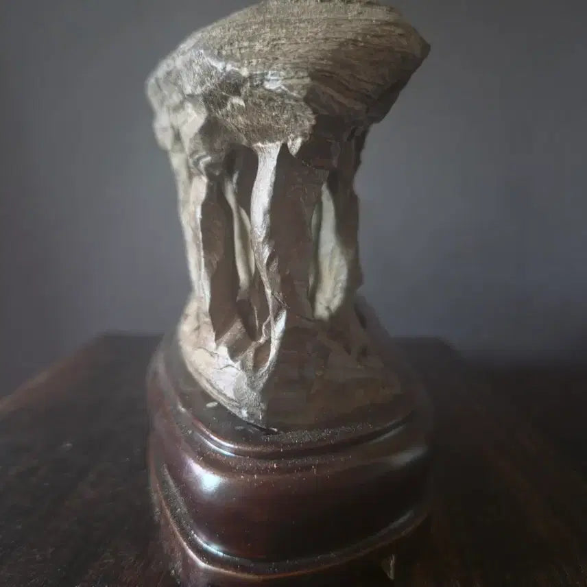 [BUNJANG] Natural Guizhou Soil Stone / 수석(2024-1)