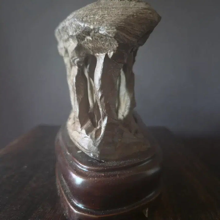 [BUNJANG] Natural Guizhou Soil Stone / 수석(2024-1)