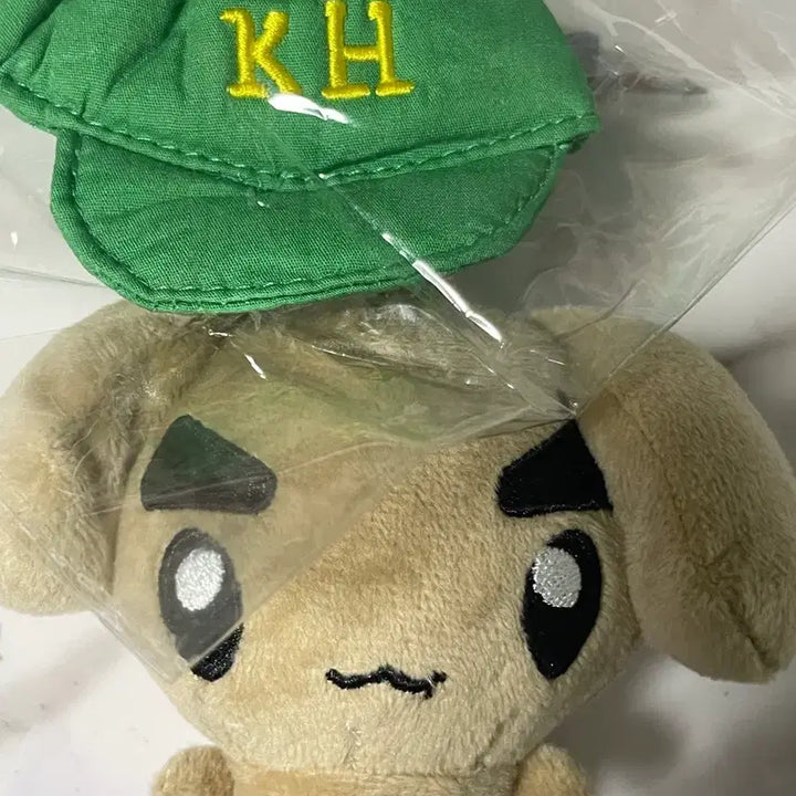 [BUNJANG] Geongangyi Plush Doll / 건강이 인형 팝니당