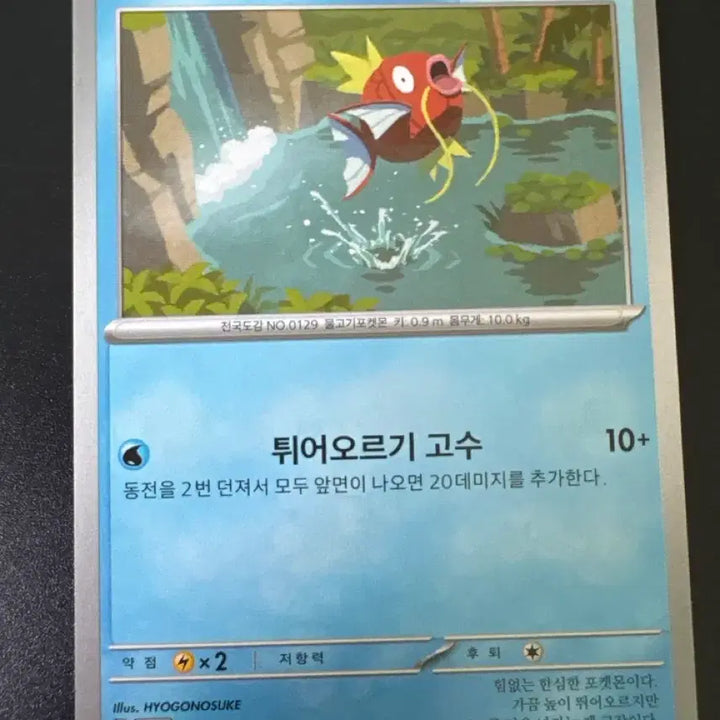 [BUNJANG] Pokemon Card Magikarp 022/073 / 포켓몬 카드 잉어킹 022/073 기본 sv1a