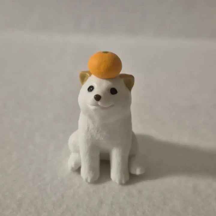 [BUNJANG] Mochinimal Season 3 Animal Figure Bundle Set / 미개봉 모찌니멀3 모찌니마루 말 망아지 강아지 가챠 일괄 판매