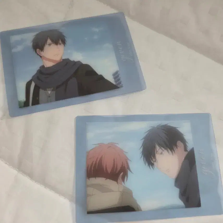 [BUNJANG] Given "Sea" Clear Passcase 2-Set: Ritsuka &amp; Mafuyu / 기븐 바다로 클리어 파샤코레 파샤 2종 일괄 리츠카 마후유