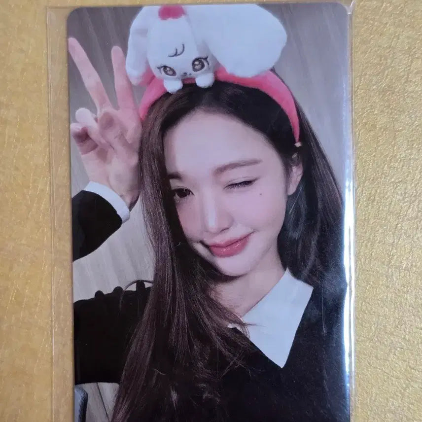 [BUNJANG] IVE Everland MD Jang Wonyoung Photocard / 아이브 에버랜드 MD 7만원 포카 장원영