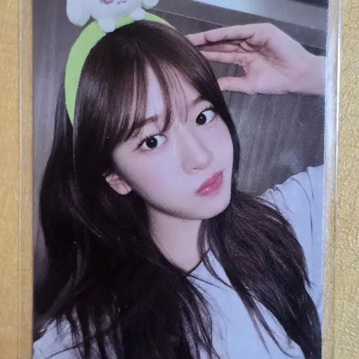 [BUNJANG] IVE Yujin Everland MD Photocard / 아이브 에버랜드 MD 7만원 포카 안유진