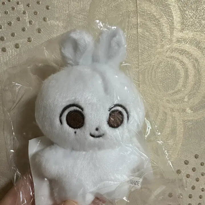 [BUNJANG] SEVENTEEN Jeonghan Jjongmochi Doll / 세븐틴 정한 인형 쫑모찌