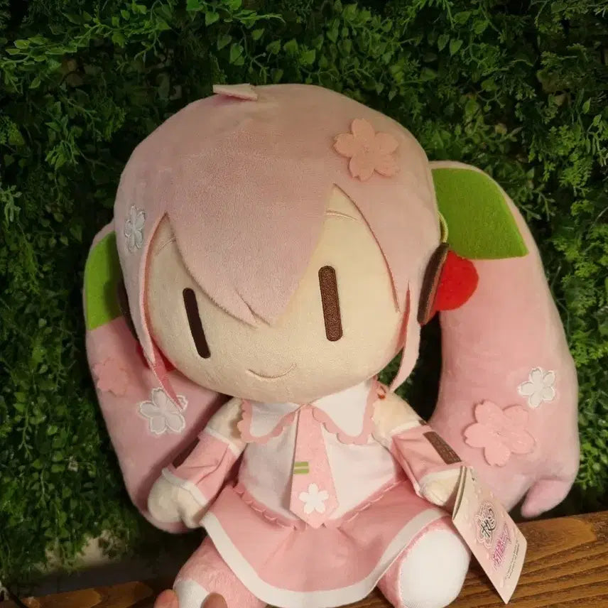 [BUNJANG] Taito Hatsune Miku Sakura Nuigurumi Plush Doll / 타이토 미쿠 사쿠라 누이 인형