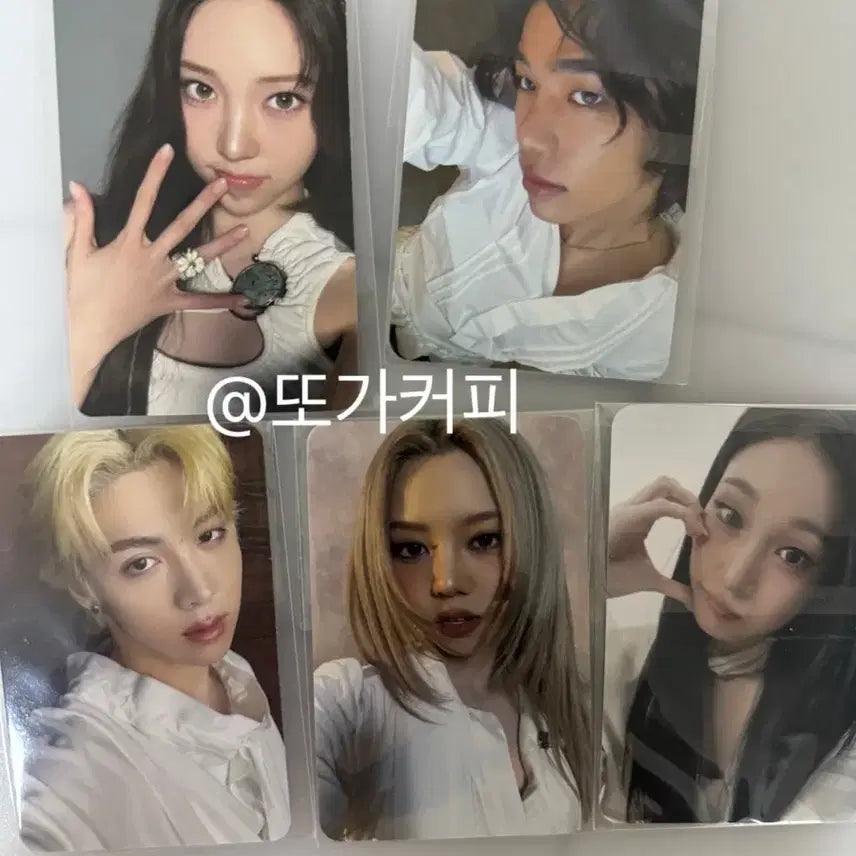 [BUNJANG] Yves Rocher Photocards Bundle Set (5 members) / [포카]올데프 이브로쉐 1set(5명)