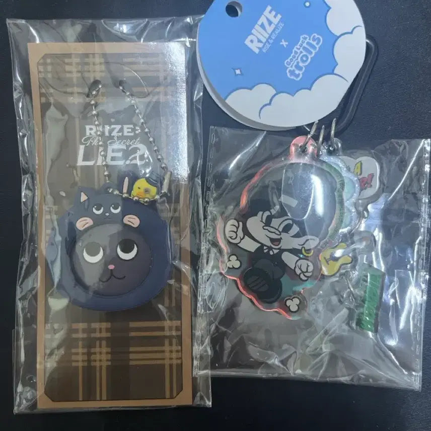 [BUNJANG] Troll Popup Bundle Set RIIZE Wonbin Keyring (Sealed) / 미개봉 토냥덕 키링 라이즈 원빈 트롤 팝업 일괄