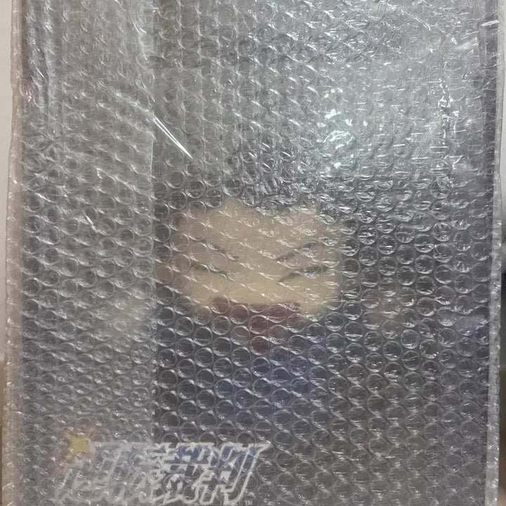 [BUNJANG] Ace Attorney Pop Mart Naruhodo Ryuuichi Plush (Sealed) / [미개봉] 역전재판 팝마트 A상 나루호도 인형