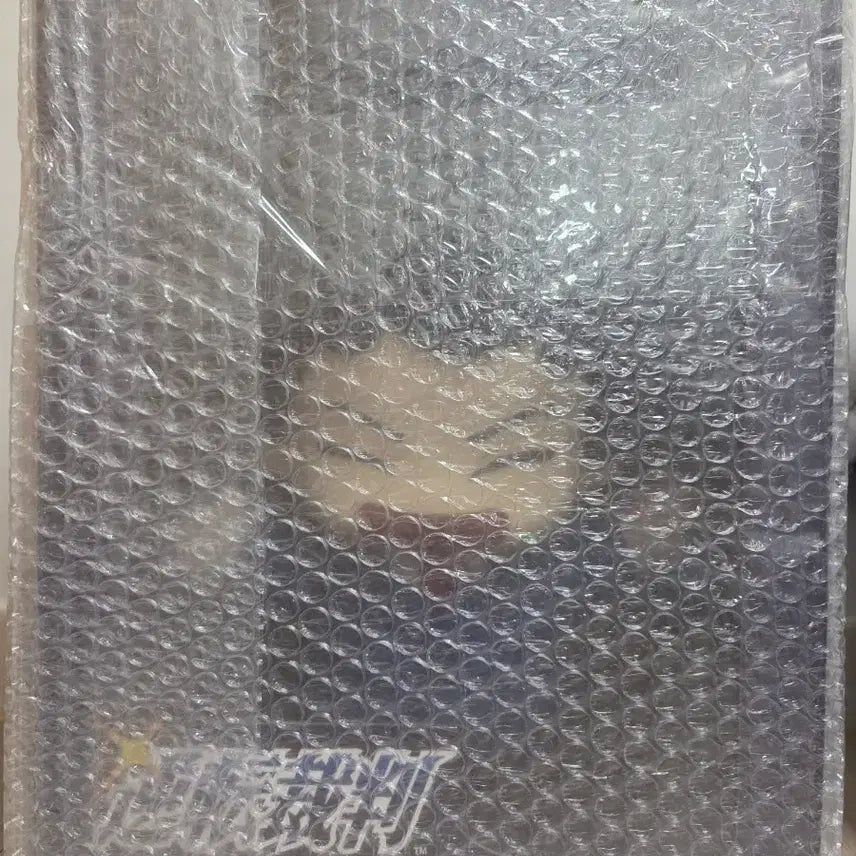 [BUNJANG] Ace Attorney Pop Mart Naruhodo Ryuuichi Plush (Sealed) / [미개봉] 역전재판 팝마트 A상 나루호도 인형