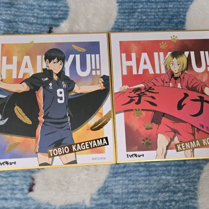 [BUNJANG] Haikyuu!! Banner Shikishi Set - Kageyama &amp; Kenma Setter Bundle / 하이큐 현수막 색지 카게야마,켄마 세터일괄 (일괄)