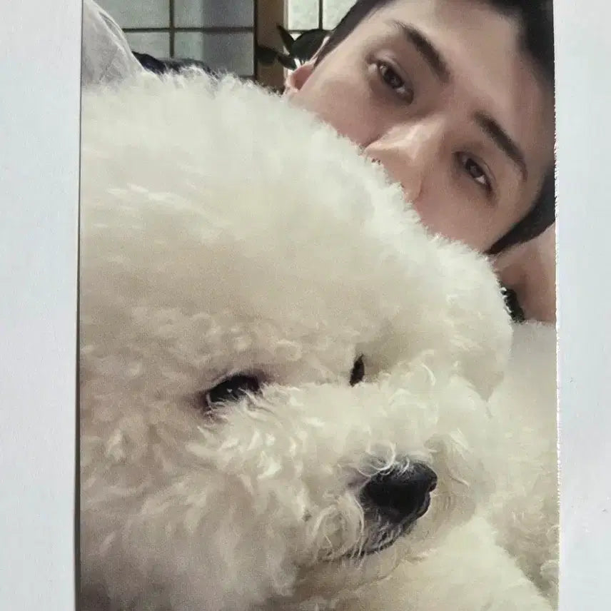 [BUNJANG] EXO Sehun EXIST Shopee Exclusive Photocard / EXO 엑소 세훈 EXIST 쇼피 특전 포카 포토카드