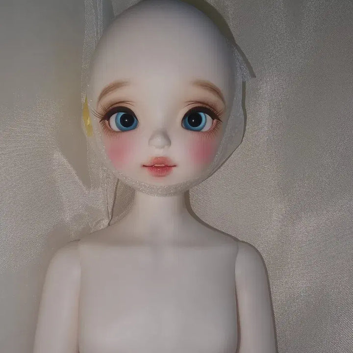 [BUNJANG] Chicabi Mini Kitty MSD Ball-Jointed Doll Body / 구체관절인형 msd 본체 치카비 미니 키티