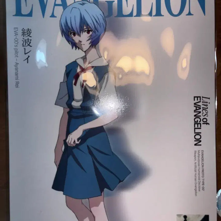 [BUNJANG] Evangelion Ayanami Rei Unsealed Poster Exhibition / 에반게리온 아야나미레이 미개봉 포스터 전시회