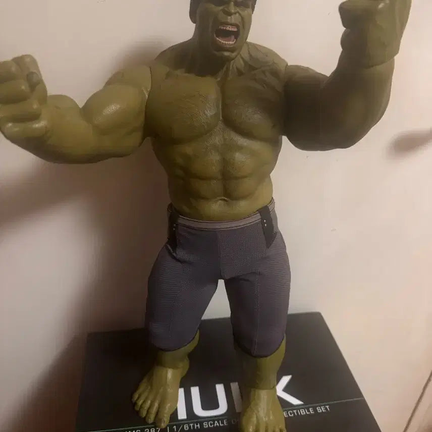 [BUNJANG] Hot Toys Avengers: Age of Ultron Hulk MMS287 Figure / 핫토이 aou 헐크 mms287