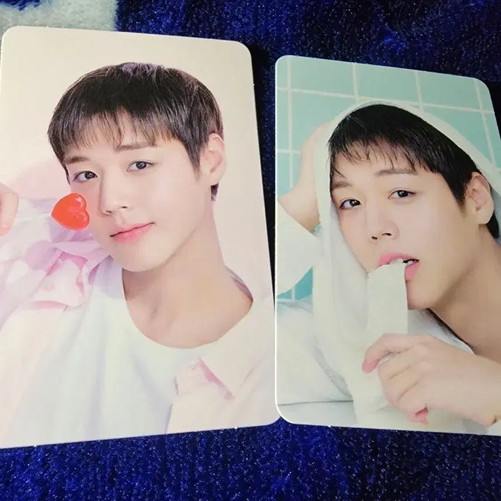 [BUNJANG] Park Jihoon MakePrem 2nd Edition Photocard Set B / 박지훈 메이크프렘 2차 포카 B 세트