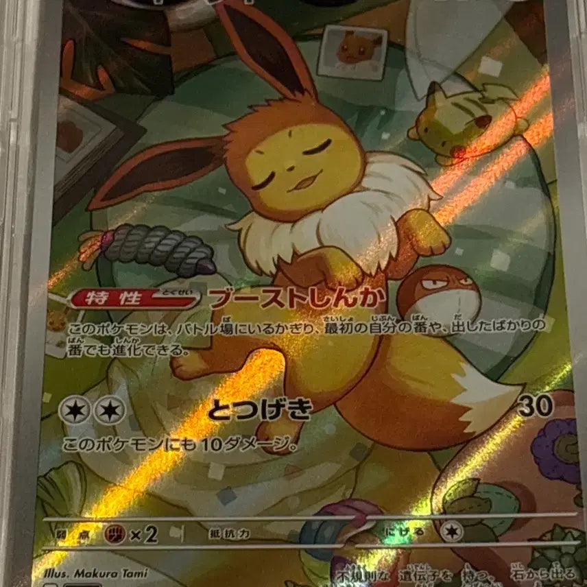 [BUNJANG] Pokemon Card Japanese Eevee AR Deck 100 / 포켓몬카드 일판 100덱 이브이 AR