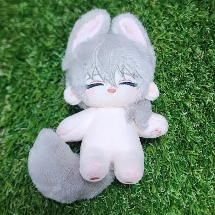 [BUNJANG] MINI DEGSAM Welcome DEGSAM Bundle Set / 미니돼삼이, 웰컴제삼 일괄 양도