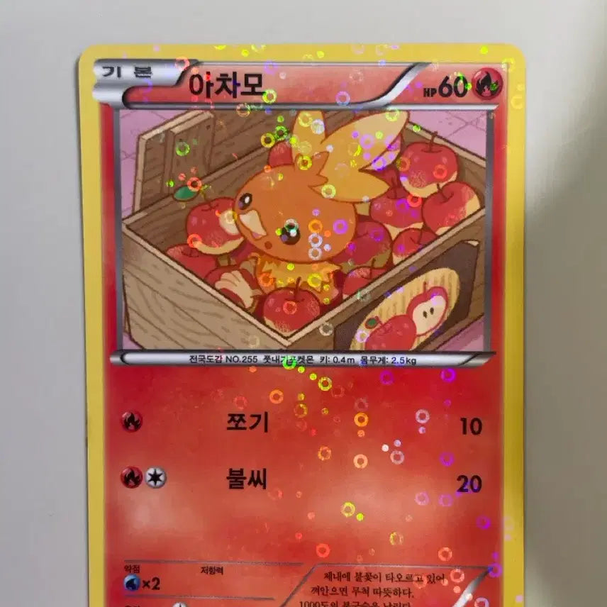 [BUNJANG] Shaini Collection Achamo Card / 샤이니컬렉션 아차모 카드