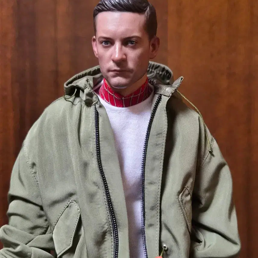 [BUNJANG] Hot Toys Peter Parker Casual Wear Custom Figure / 최종 가격 핫토이) 피터파커 사복 커스텀
