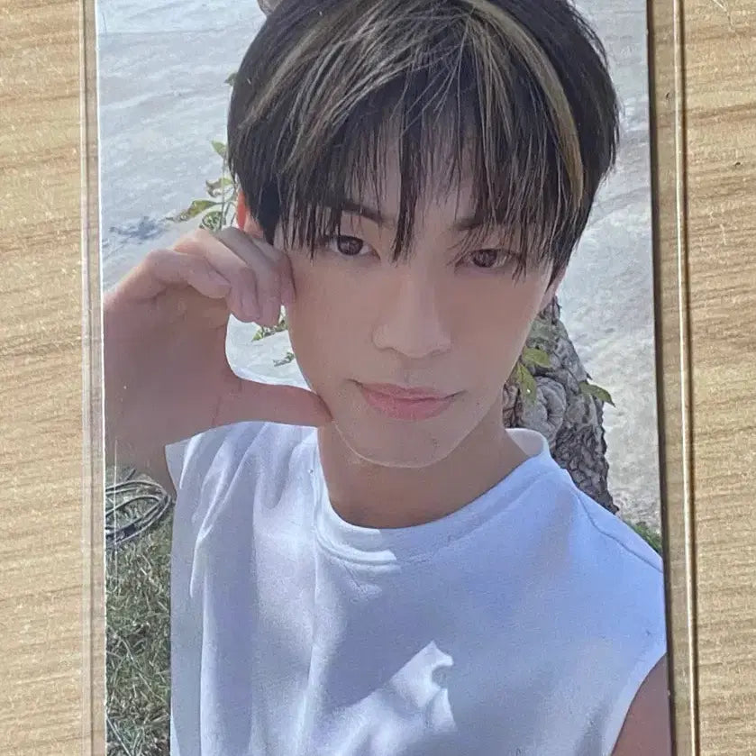 [BUNJANG] TWS Summer Beat Dohoon Photocard / TWS 투어스 썸머비트 위버스 특전 도훈 포카