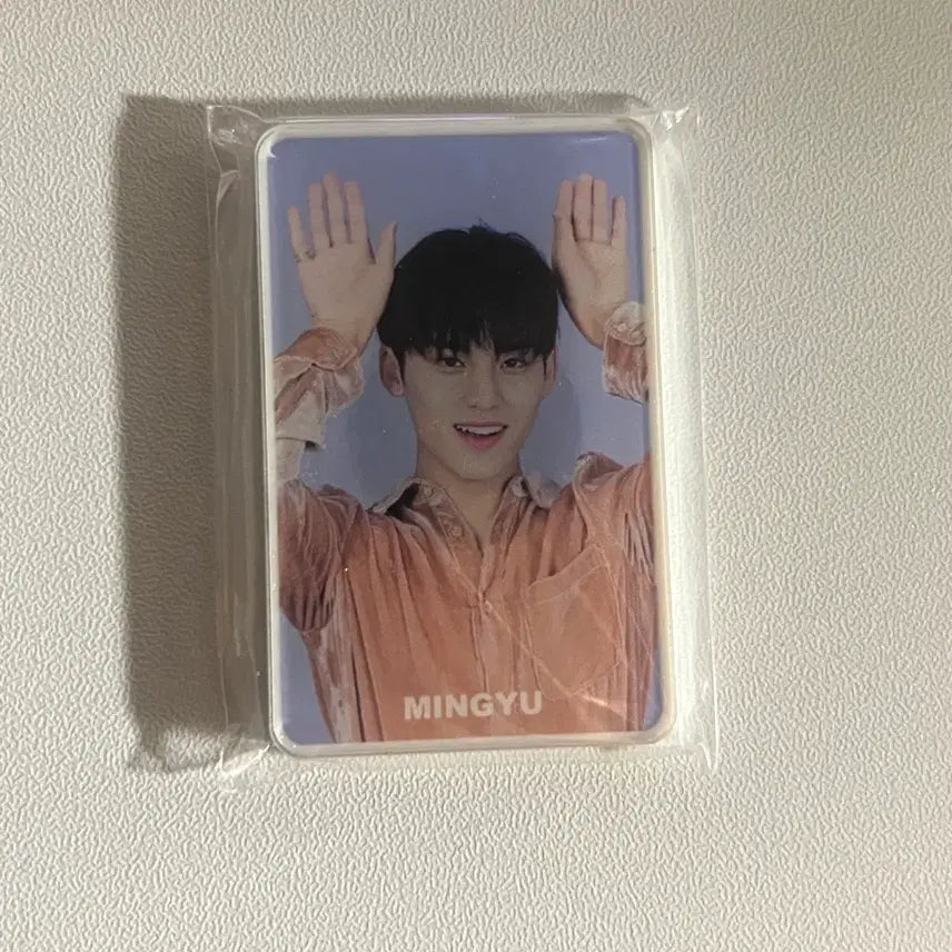 [BUNJANG] SEVENTEEN Mingyu Magnet / 세븐틴 민규 마그넷 판매양도