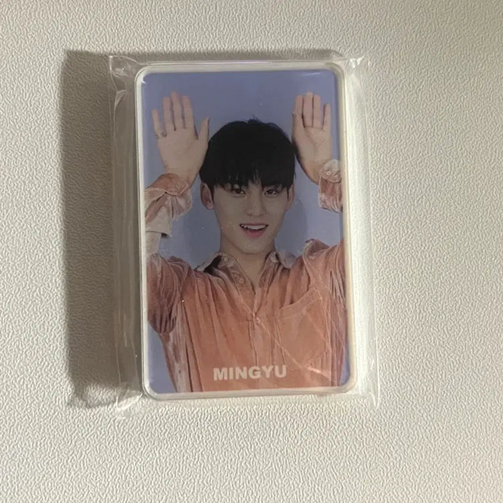 [BUNJANG] SEVENTEEN Mingyu Magnet / 세븐틴 민규 마그넷 판매양도