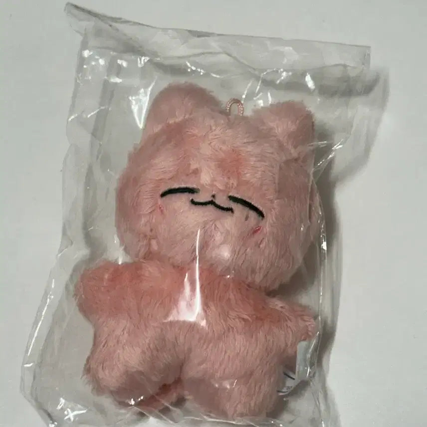 [BUNJANG] NCT 127 Jaehyun Cat Plush / 엔시티 127 재현 잰냥이 인형 nct 127 jaehyun