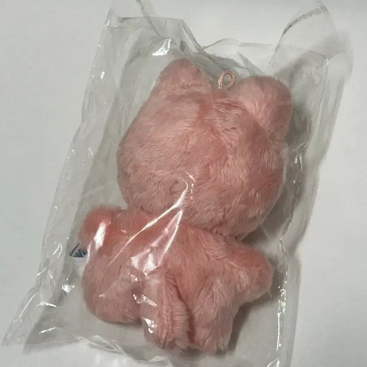 [BUNJANG] NCT 127 Jaehyun Cat Plush / 엔시티 127 재현 잰냥이 인형 nct 127 jaehyun