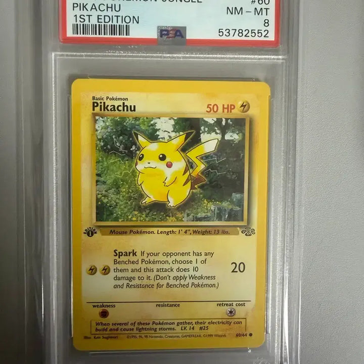 [BUNJANG] Pikachu Jungle 1st Edition PSA 8 Card / 피카츄 정글 퍼스트에디션 psa8