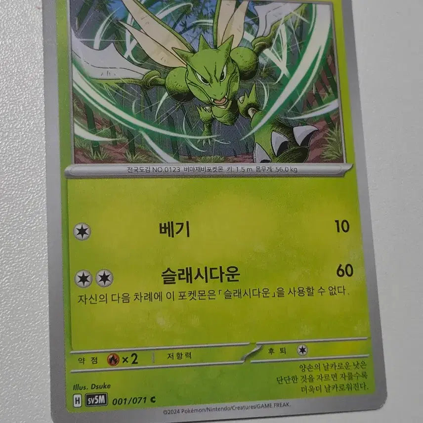 [BUNJANG] Pokemon Card Collection / 포켓몬 카드 모음집2