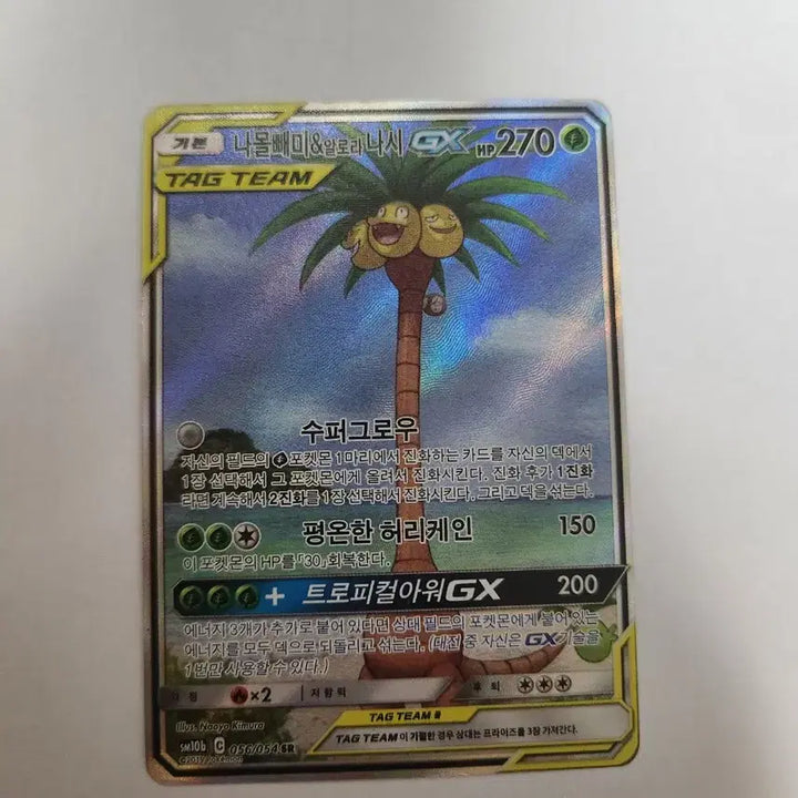 [BUNJANG] Pokemon Card Incineroar &amp; Decidueye GX TAG TEAM Korean Edition SR Card / 포켓몬 카드 나몰빼미&amp;알로라 나시 GX TAG TEAM 한글판 SR 카드