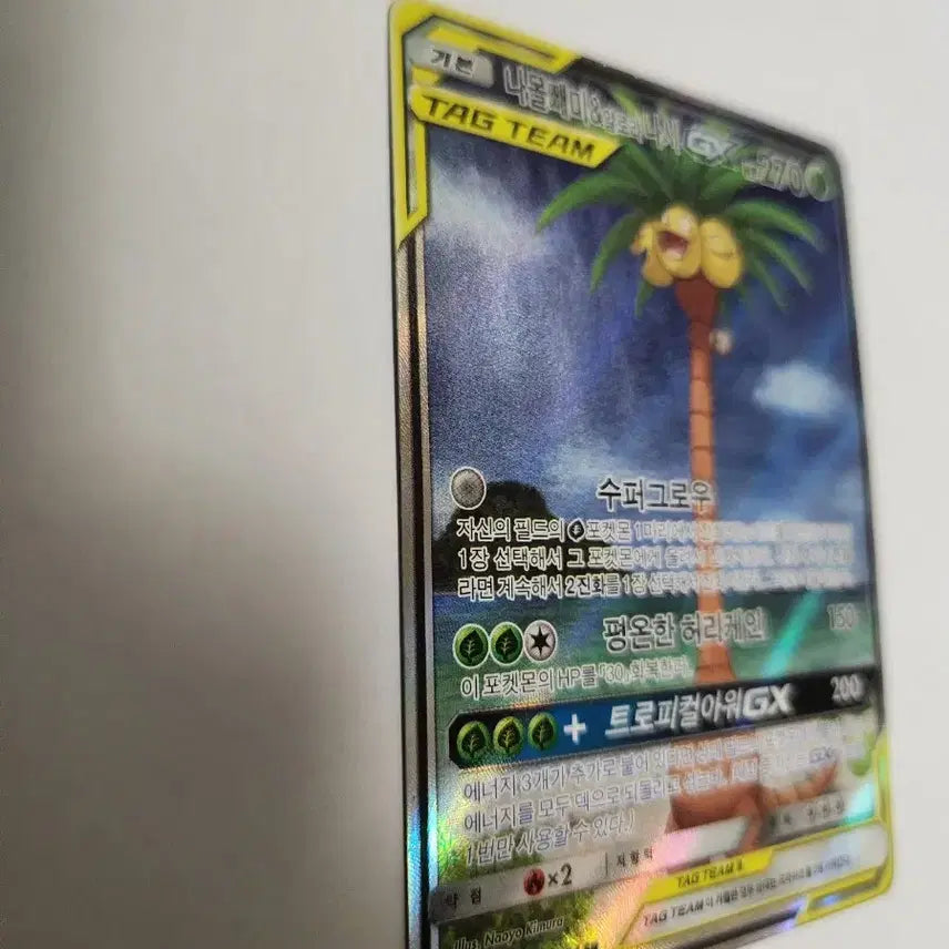 [BUNJANG] Pokemon Card Incineroar &amp; Decidueye GX TAG TEAM Korean Edition SR Card / 포켓몬 카드 나몰빼미&amp;알로라 나시 GX TAG TEAM 한글판 SR 카드