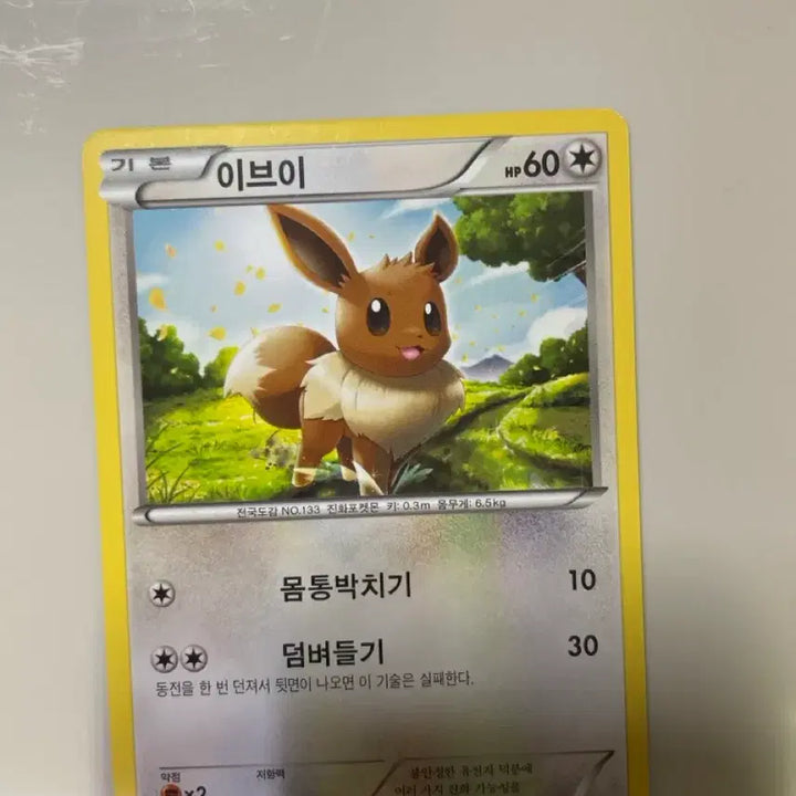 [BUNJANG] Eevee Ancient Card / 이브이 카드 고대카드