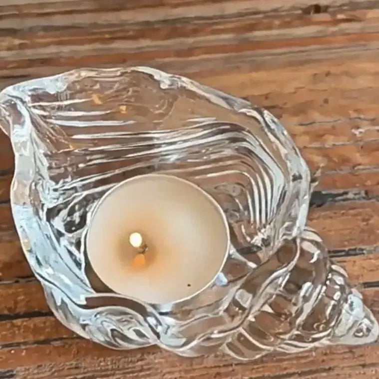[BUNJANG] Seashell Transparent Candle Interior Decor / 바다 조개 소라 초 투명 캔들 장식 촛농 촛불 인테리어 꾸미기
