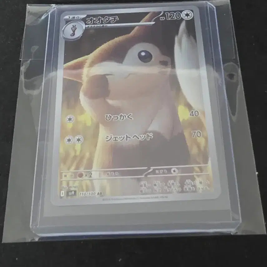 [BUNJANG] Japanese AR Pokemon Cards Bundle Set / 일어판 AR 포켓몬카드