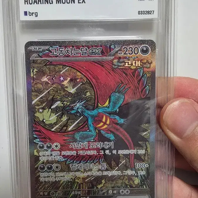 [BUNJANG] Pokémon Card Bundle: Blazing Tides (brg9), Crushing Waves (brg8), Thunderous Roar (brg9) / 블래키 마스터볼 brg9, 고동치는달 brg8, 날뛰는우레 brg9
