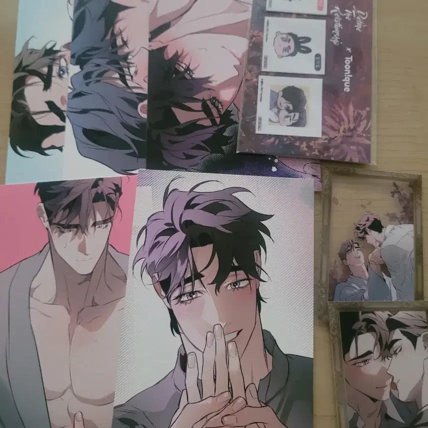 [BUNJANG] Toonique DTR Bundle Set - Ttibu, Postcard, Clear Photocard / 투니크 디티알 띠부, 엽서,클리어포카,