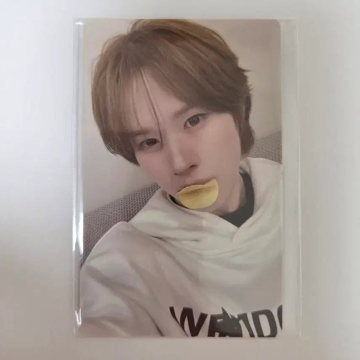 [BUNJANG] TWS Kyungmin NO TRAGEDY Weverse Comeback Live POB Photocard / tws 투어스 경민 no tragedy 위버스 컴백라이브 특전 포카